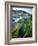 Seaweed on Rocks During Low Tide Near Cape Alava, Olympic National Park, Washington, USA-Scott T. Smith-Framed Photographic Print