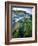 Seaweed on Rocks During Low Tide Near Cape Alava, Olympic National Park, Washington, USA-Scott T. Smith-Framed Photographic Print