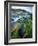 Seaweed on Rocks During Low Tide Near Cape Alava, Olympic National Park, Washington, USA-Scott T. Smith-Framed Photographic Print