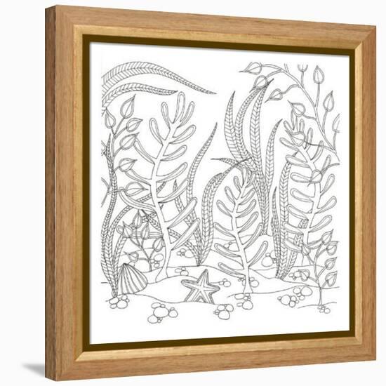 Seaweed Scenery-Pam Varacek-Framed Stretched Canvas