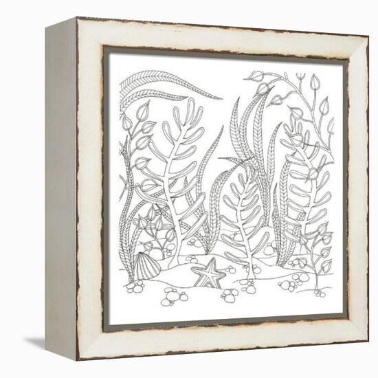 Seaweed Scenery-Pam Varacek-Framed Stretched Canvas