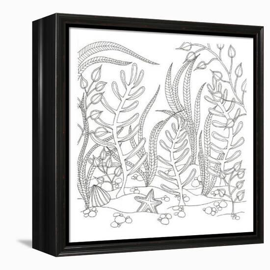 Seaweed Scenery-Pam Varacek-Framed Stretched Canvas
