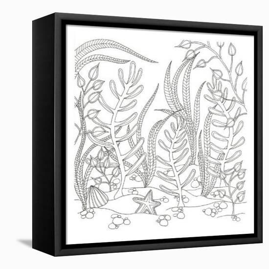 Seaweed Scenery-Pam Varacek-Framed Stretched Canvas