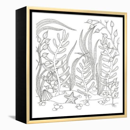 Seaweed Scenery-Pam Varacek-Framed Stretched Canvas