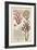 Seaweed Specimen in Coral II-Vision Studio-Framed Art Print