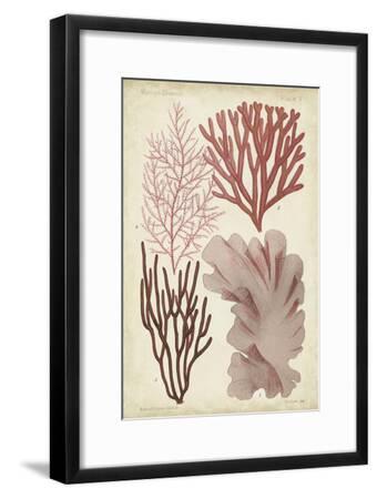 22x26 Antique Coral Seaweed II By Vision Studio - Pink main image 1