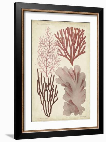 Seaweed Specimen in Coral III-Vision Studio-Framed Art Print