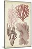 Seaweed Specimen in Coral III-Vision Studio-Mounted Art Print