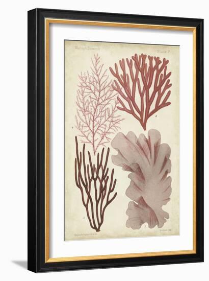 Seaweed Specimen in Coral III-Vision Studio-Framed Art Print