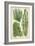 Seaweed Specimen in Green I-Vision Studio-Framed Art Print