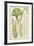 Seaweed Specimen in Green II-Vision Studio-Framed Art Print