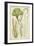 Seaweed Specimen in Green II-Vision Studio-Framed Art Print