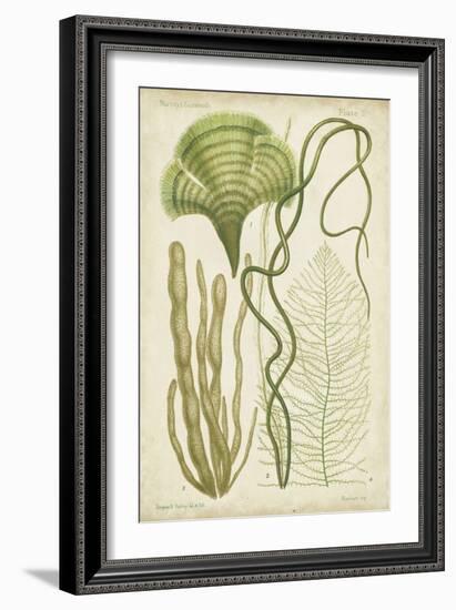 Seaweed Specimen in Green II-Vision Studio-Framed Art Print