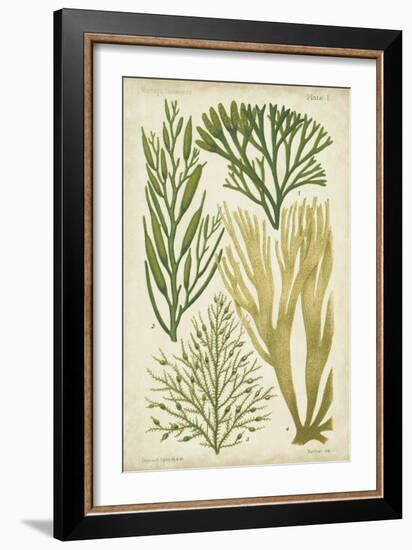 Seaweed Specimen in Green III-Vision Studio-Framed Art Print