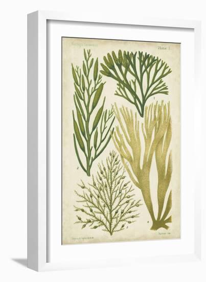 Seaweed Specimen in Green III-Vision Studio-Framed Art Print