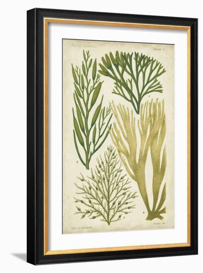 Seaweed Specimen in Green III-Vision Studio-Framed Art Print