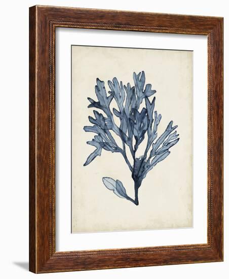 Seaweed Specimens II-Naomi McCavitt-Framed Art Print