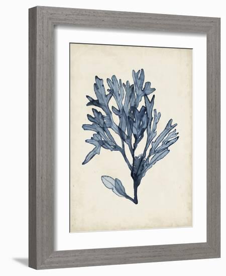 Seaweed Specimens II-Naomi McCavitt-Framed Art Print