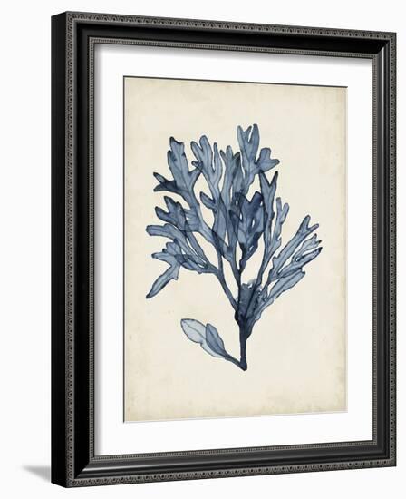 Seaweed Specimens II-Naomi McCavitt-Framed Art Print