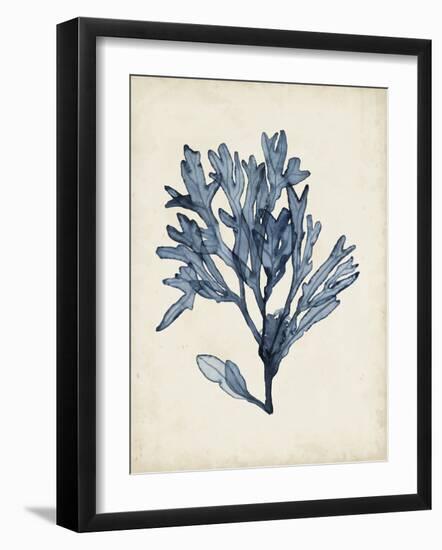 Seaweed Specimens II-Naomi McCavitt-Framed Art Print