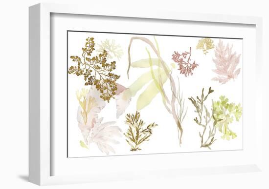 Seaweed Study-Maja Gunnarsdottir-Framed Giclee Print