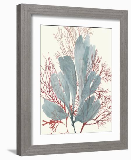 Seaweed Swirls I-Aimee Wilson-Framed Art Print