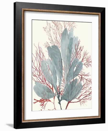 Seaweed Swirls I-Aimee Wilson-Framed Art Print