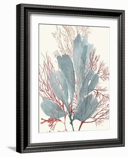 Seaweed Swirls I-Aimee Wilson-Framed Art Print