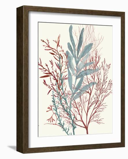 Seaweed Swirls II-Aimee Wilson-Framed Art Print