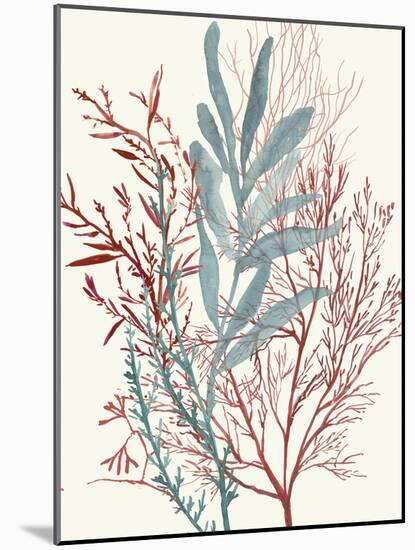 Seaweed Swirls II-Aimee Wilson-Mounted Art Print