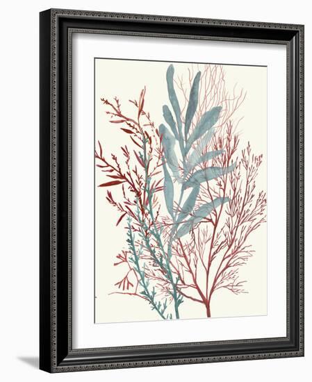 Seaweed Swirls II-Aimee Wilson-Framed Art Print