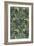 Seaweed Wallpaper Design, printed by John Henry Dearle-William Morris-Framed Giclee Print