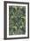 Seaweed Wallpaper Design, printed by John Henry Dearle-William Morris-Framed Giclee Print