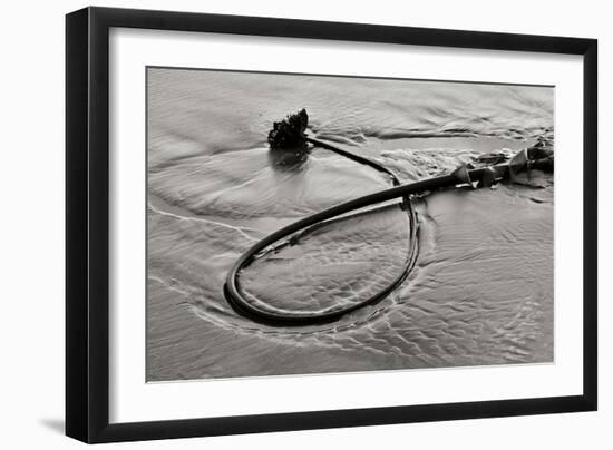 Seaweed-Lee Peterson-Framed Photographic Print