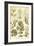 Seaweed-Ernst Haeckel-Framed Art Print