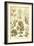 Seaweed-Ernst Haeckel-Framed Art Print