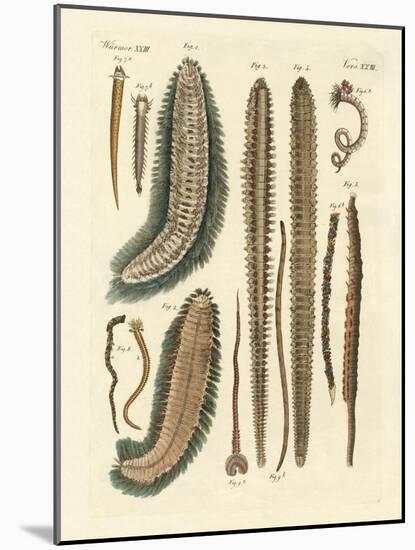 Seaworms-null-Mounted Giclee Print