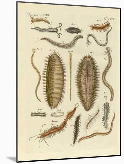 Seaworms-null-Mounted Giclee Print