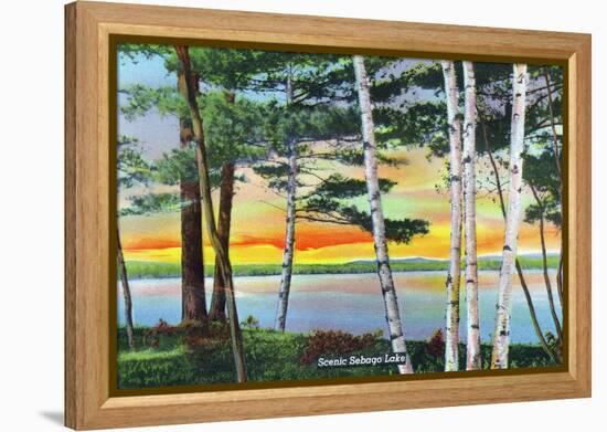 Sebago Lake, Maine - Scenic View Along the Lake with White Birches, c.1949-Lantern Press-Framed Stretched Canvas