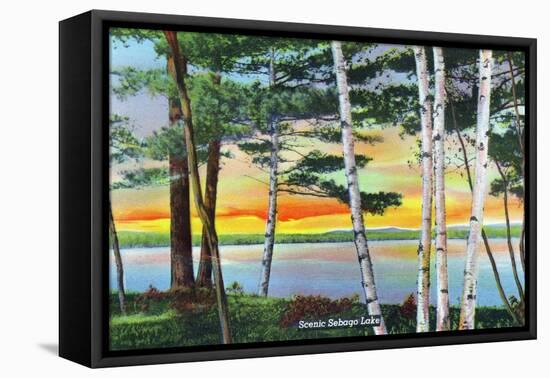 Sebago Lake, Maine - Scenic View Along the Lake with White Birches, c.1949-Lantern Press-Framed Stretched Canvas