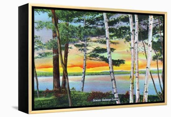 Sebago Lake, Maine - Scenic View Along the Lake with White Birches, c.1949-Lantern Press-Framed Stretched Canvas