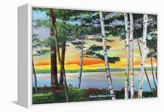 Sebago Lake, Maine - Scenic View Along the Lake with White Birches, c.1949-Lantern Press-Framed Stretched Canvas