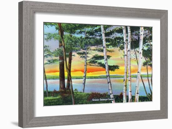Sebago Lake, Maine - Scenic View Along the Lake with White Birches, c.1949-Lantern Press-Framed Art Print
