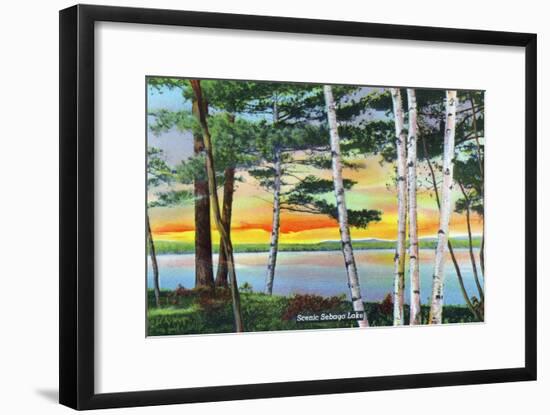 Sebago Lake, Maine - Scenic View Along the Lake with White Birches, c.1949-Lantern Press-Framed Art Print