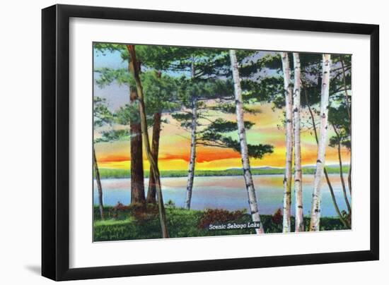 Sebago Lake, Maine - Scenic View Along the Lake with White Birches, c.1949-Lantern Press-Framed Art Print