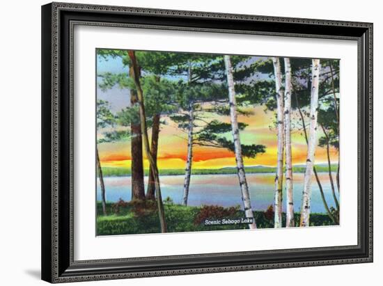 Sebago Lake, Maine - Scenic View Along the Lake with White Birches, c.1949-Lantern Press-Framed Art Print