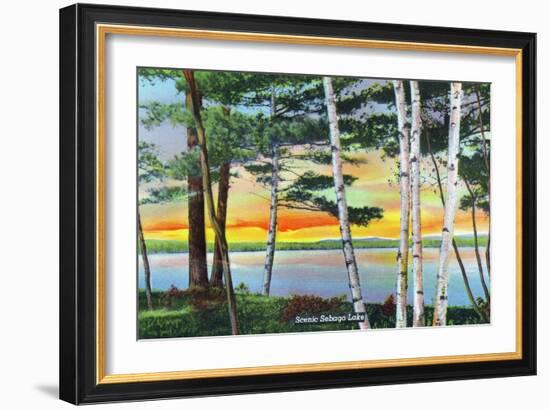 Sebago Lake, Maine - Scenic View Along the Lake with White Birches, c.1949-Lantern Press-Framed Art Print