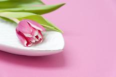 Tulip, Bowl, Porcelain, Pink, Table-Sebastian Scheuerecker-Photographic Print