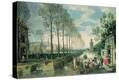 Stretched Canvas Print