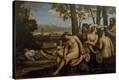 Stretched Canvas Print